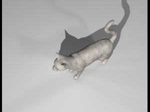 presente manipulado de gato branco Modelo 3D