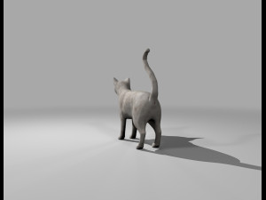 white cat rigged gift Modelo 3D