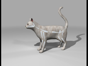 white cat rigged gift Modelo 3D