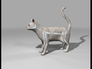 presente manipulado de gato branco Modelo 3D