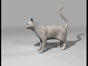 white cat rigged gift Modelo 3D