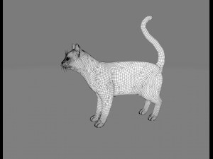 white cat rigged gift Modelo 3D