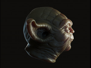 Yoda head 3d print model Modelo de impresión 3D