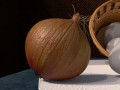 onion yellow 3D Models