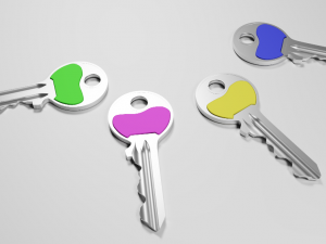 keys 3D Model