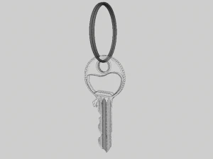 keys 3D Model