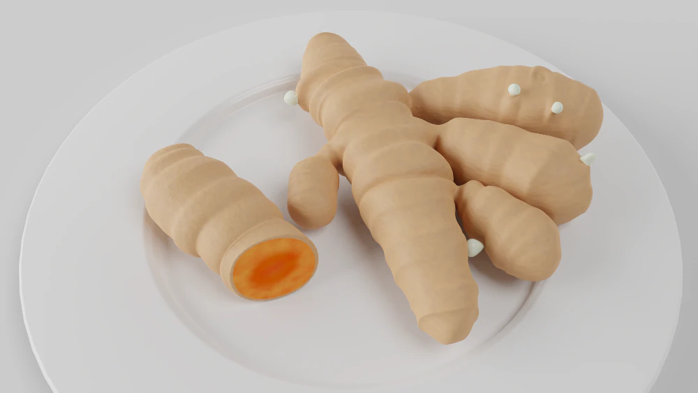 zerde&ccedil;al k&ouml;kleri 3D Model .c4d .max .obj .3ds .fbx .stl .blend 