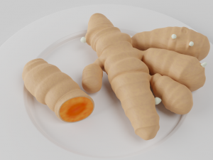 turmeric roots 3D Model