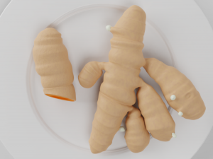 turmeric roots 3Dモデル