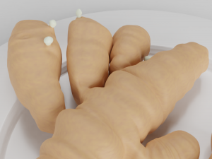 turmeric roots 3Dモデル