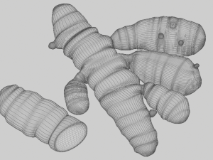 turmeric roots 3Dモデル