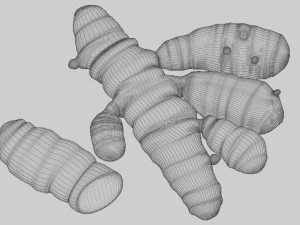 zerde&ccedil;al k&ouml;kleri 3D Model
