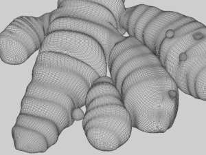 zerde&ccedil;al k&ouml;kleri 3D Model