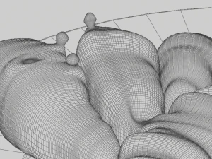 zerde&ccedil;al k&ouml;kleri 3D Model