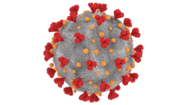 coronavirus Modèle 3D .c4d .max .obj .3ds .fbx .stl .blend 