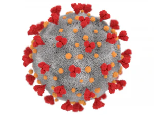 coronavirus Modelo 3D