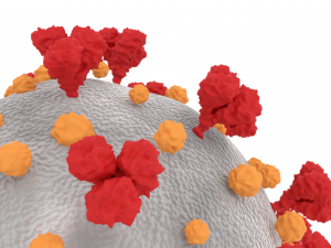 coronavirus Modèle 3D