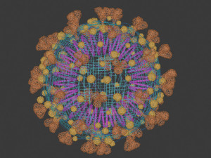 coronavirus Modèle 3D