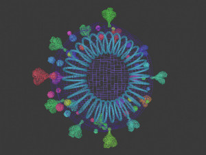 coronavirus Modèle 3D