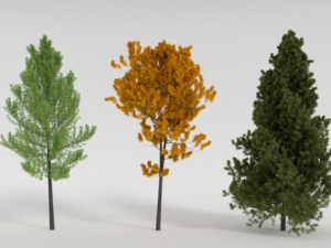 3 trees 3D Model
