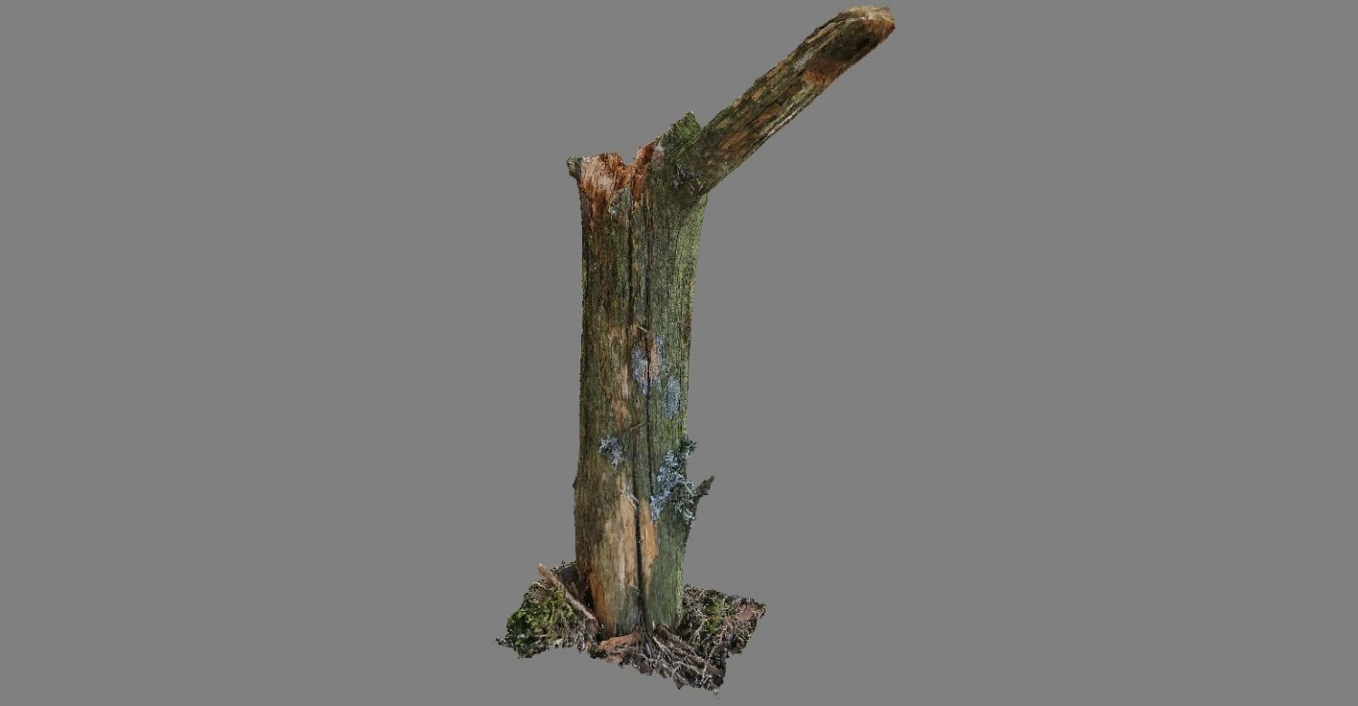stick 3D Model .c4d .max .obj .3ds .fbx .stl .blend 