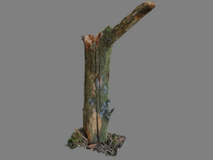 stick Modelo 3D