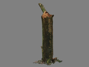 stick 3D Model