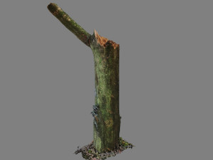 stick 3D Model