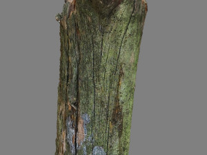 stick 3D Model