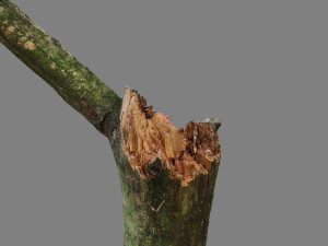 stick 3D Model