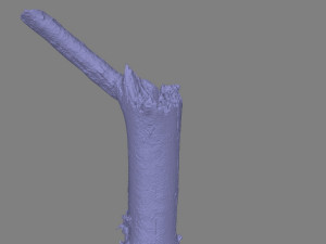 stick 3D Model