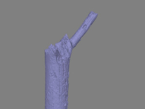 stick 3D Model
