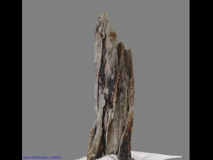 root 3D Model