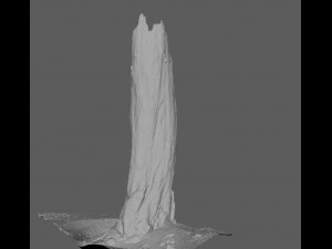 root Model 3D