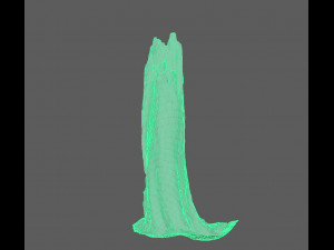 root Model 3D