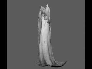 root Model 3D