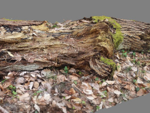 wood log 3D मॉडल