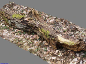 लकड़ी का लट्ठा 3D मॉडल