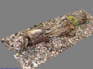 wood log 3D मॉडल