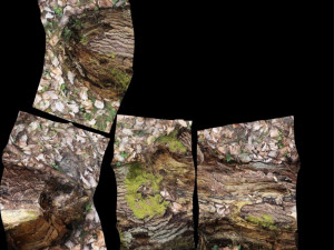 wood log 3D मॉडल