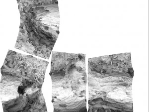 लकड़ी का लट्ठा 3D मॉडल