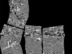 लकड़ी का लट्ठा 3D मॉडल