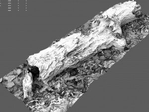 wood log 3D मॉडल