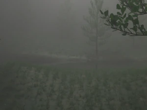 natura nebbiosa Modello 3D
