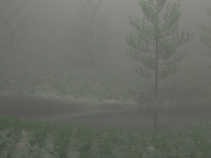 misty nature 3D 模型