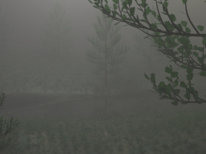misty nature 3D 模型
