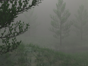 misty nature 3D 模型