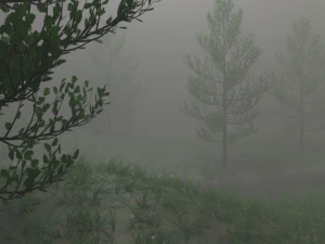misty nature 3D Model