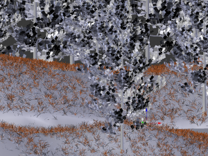 misty nature 3D 模型