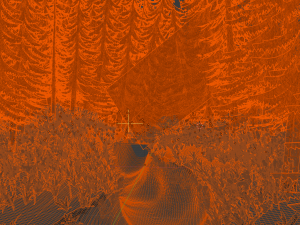 stylized forest 3d 3D Модель